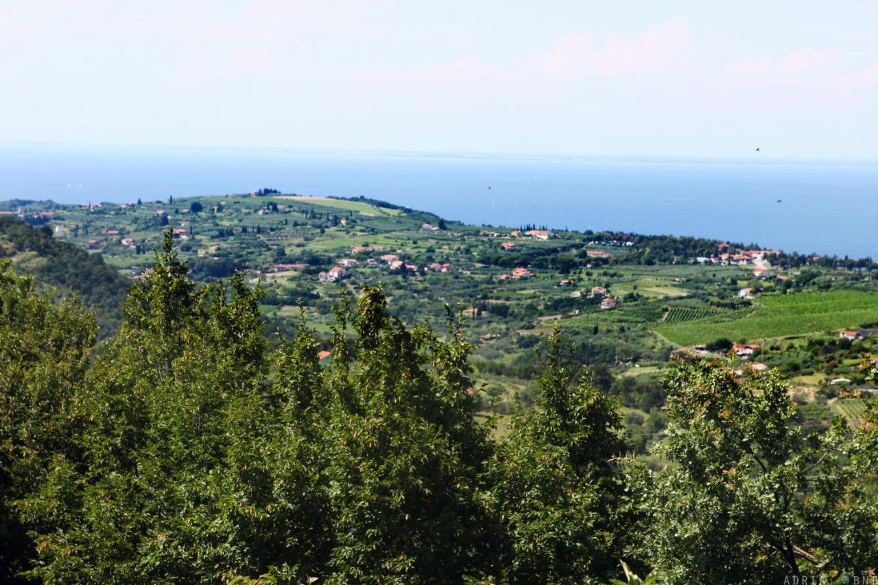 Garden Ville Izola Mira Luaran gambar
